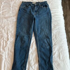 Everlane Original Cheeky Jean